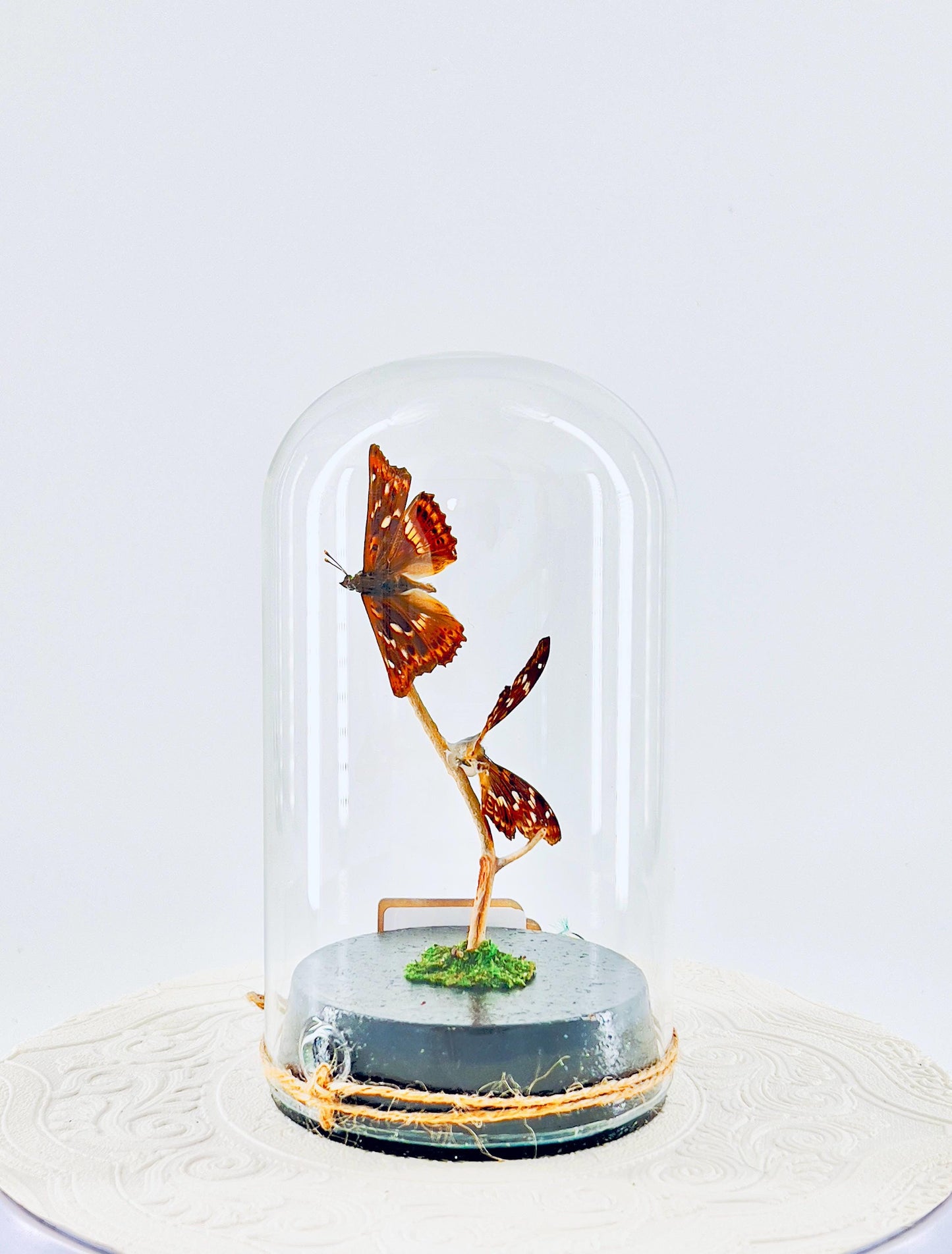 Large Pendant | Lesser Purple Emperor | Purple Brown Iridescence | Flutter by Katie | Handmade Butterfly Sculpture Art | Home Decor | China