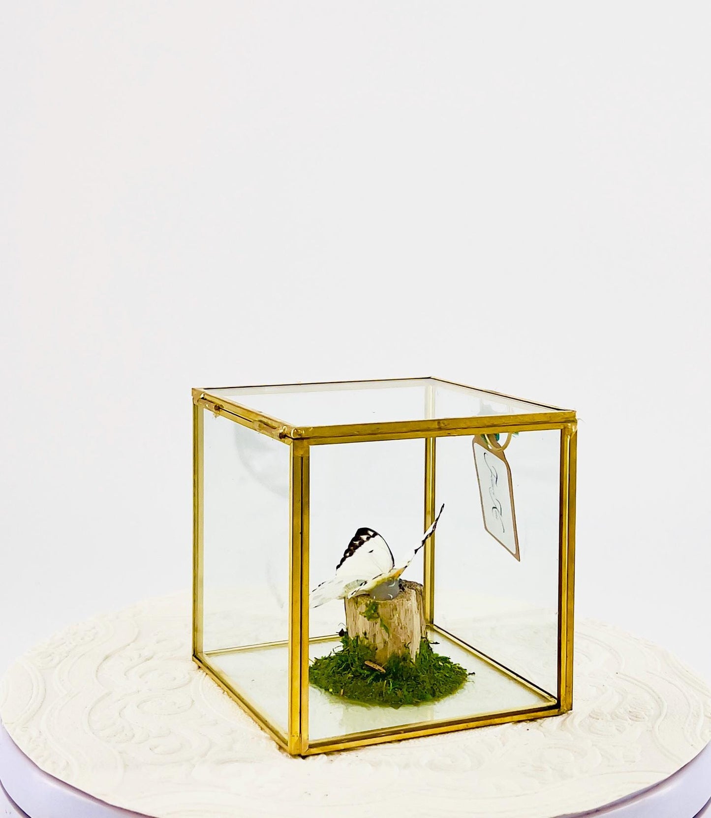 The Cube | Centerpiece | Calypso | White Black polkadots | Handmade Butterfly Sculpture Art | Flutter by Katie | Glass Cube | Central Africa