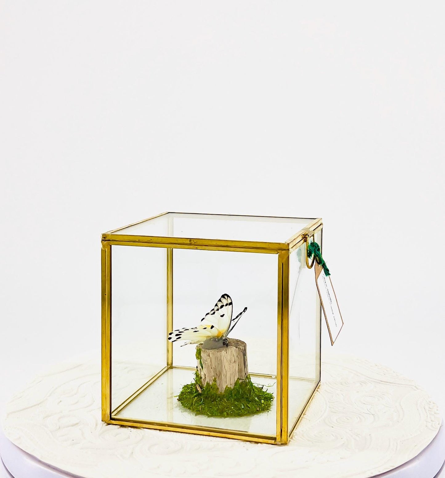 The Cube | Centerpiece | Calypso | White Black polkadots | Handmade Butterfly Sculpture Art | Flutter by Katie | Glass Cube | Central Africa