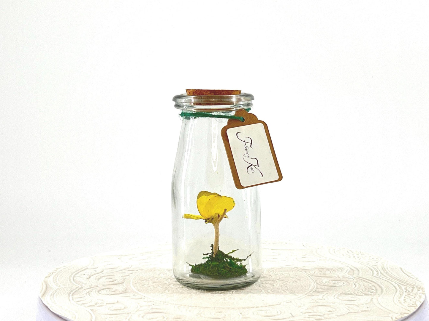 Accent | Centerpiece | Common Grass Yellow | Pale Yellow | Flutter by Katie | Handmade Butterfly Sculpture Art | Home Decor| Australia