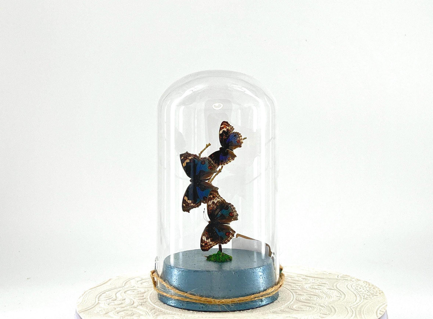 Large Pendant | Blue Buckeye | Blue White Brown | Flutter by Katie | Handmade Butterfly Sculpture Art | Home Decor | Japan