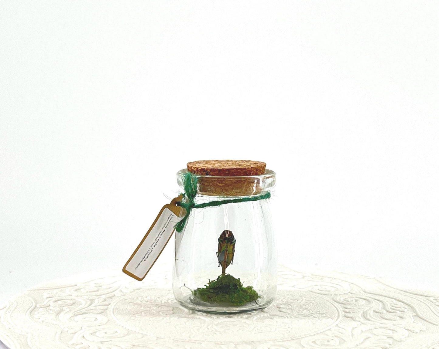 Mini Centerpiece Golden Buprestid Beetle | Iridescent Green | Flutter by Katie | Handmade Butterfly Sculpture Art | Home Decor | Guatemala