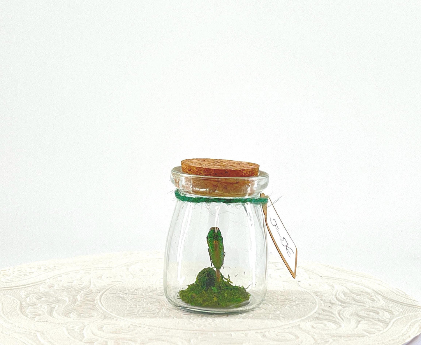 Mini Centerpiece Golden Buprestid Beetle | Iridescent Green | Flutter by Katie | Handmade Butterfly Sculpture Art | Home Decor | Guatemala