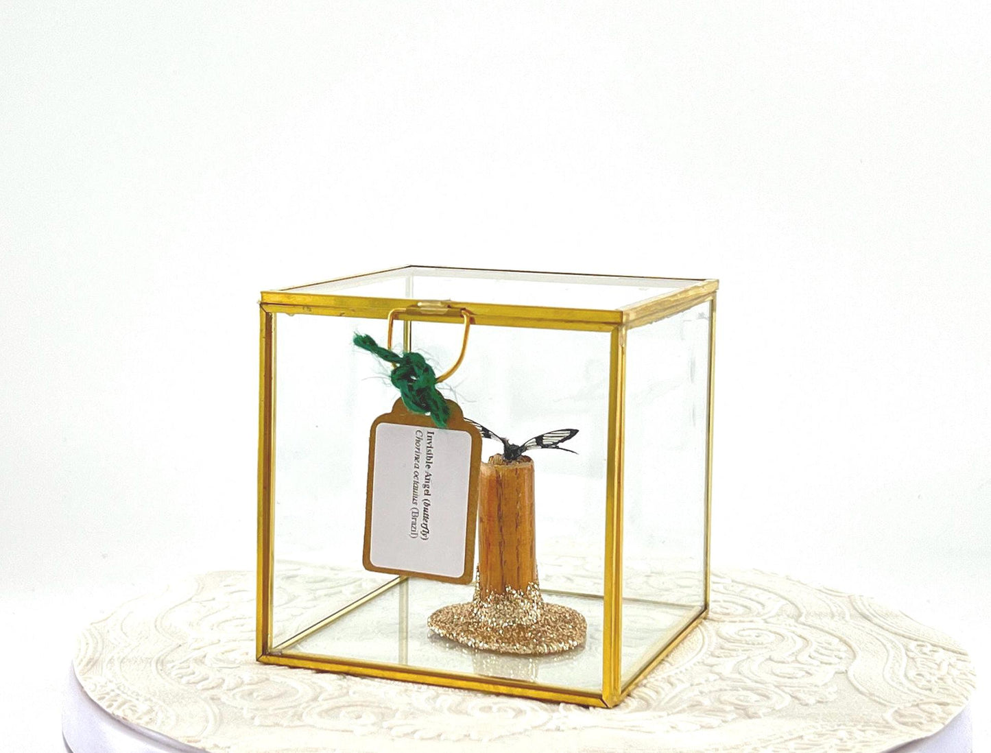The Cube | Centerpiece | Invisible Angel | Black Transparent | Flutter by Katie | Handmade Butterfly Sculpture Art | Home Decor | Brazil