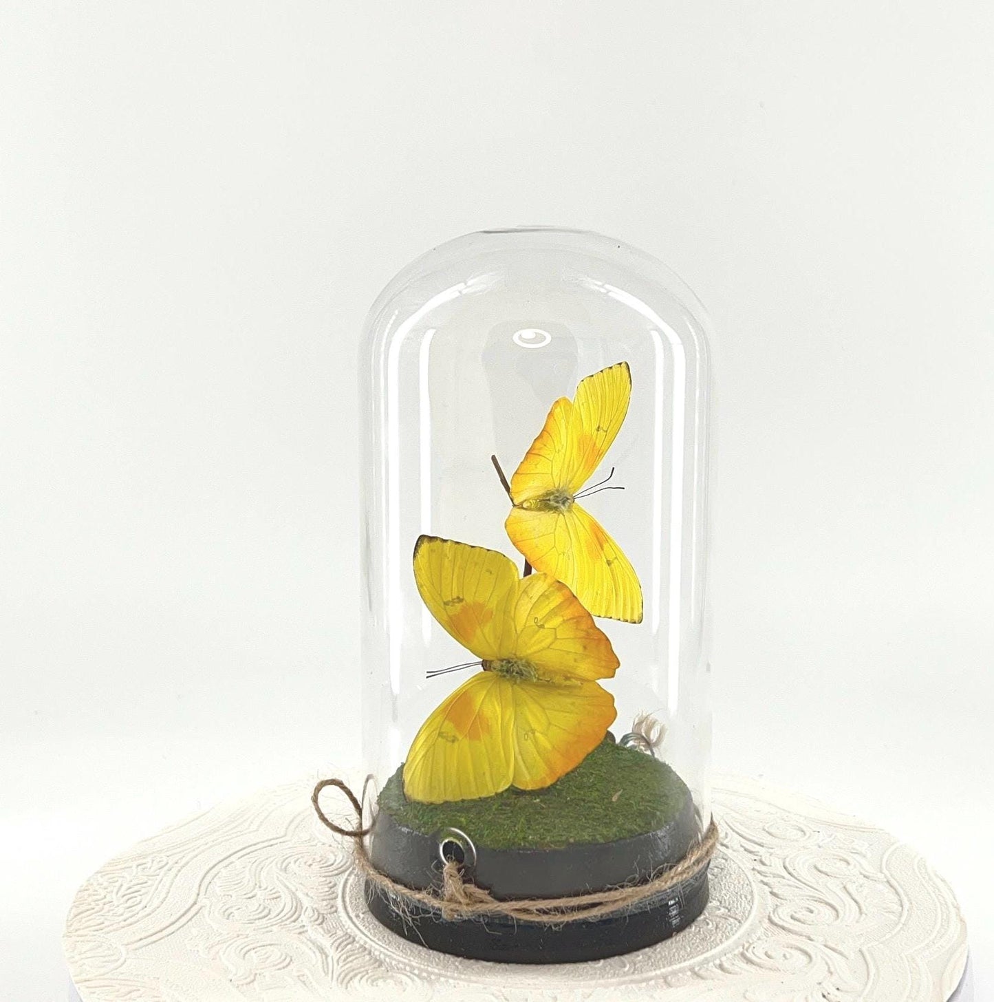 Large Pendant | Hang or Tabletop Centerpiece | Double Orange-barred Sulphur | Yellow | Flutter by Katie Butterfly Sculpture Art | N America