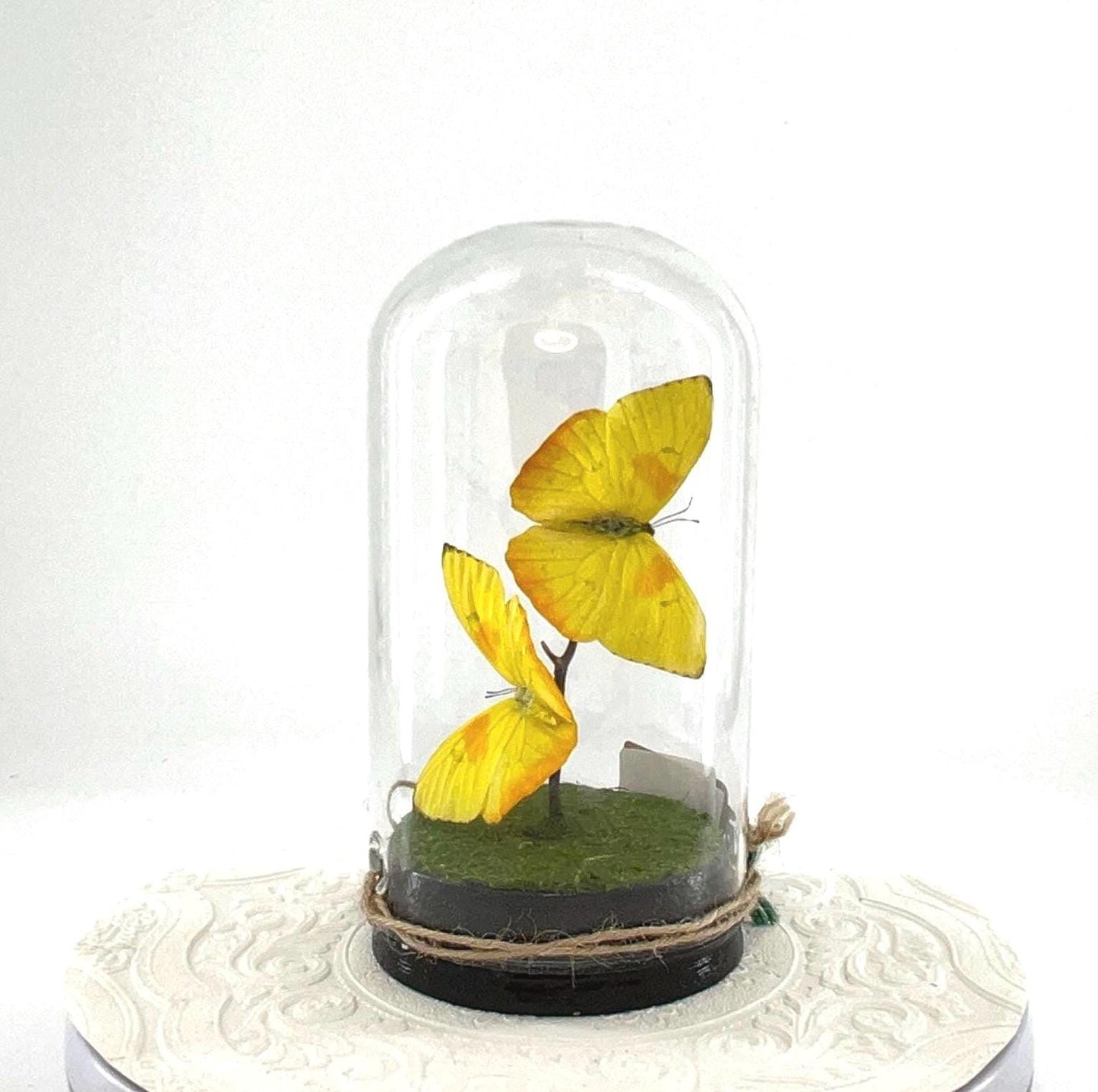 Large Pendant | Hang or Tabletop Centerpiece | Double Orange-barred Sulphur | Yellow | Flutter by Katie Butterfly Sculpture Art | N America