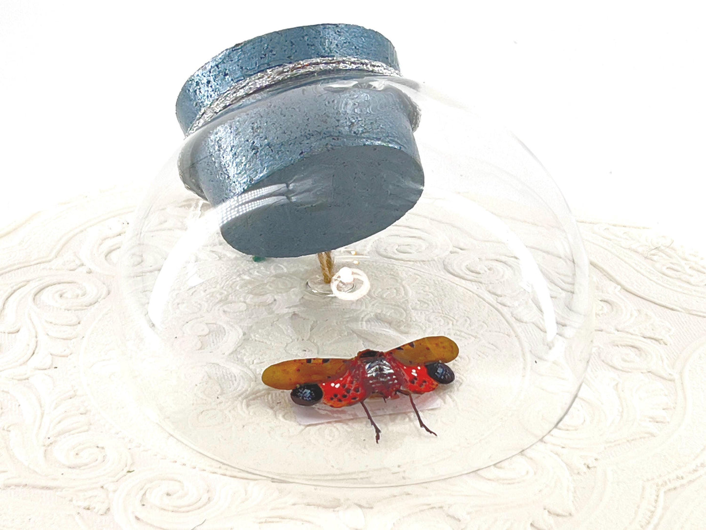 Droplet | Tabletop Wall Hanging | Spotted Lanternfly | Red Black | Flutter by Katie | Butterfly Sculpture Art Display | Glass Bubble | USA