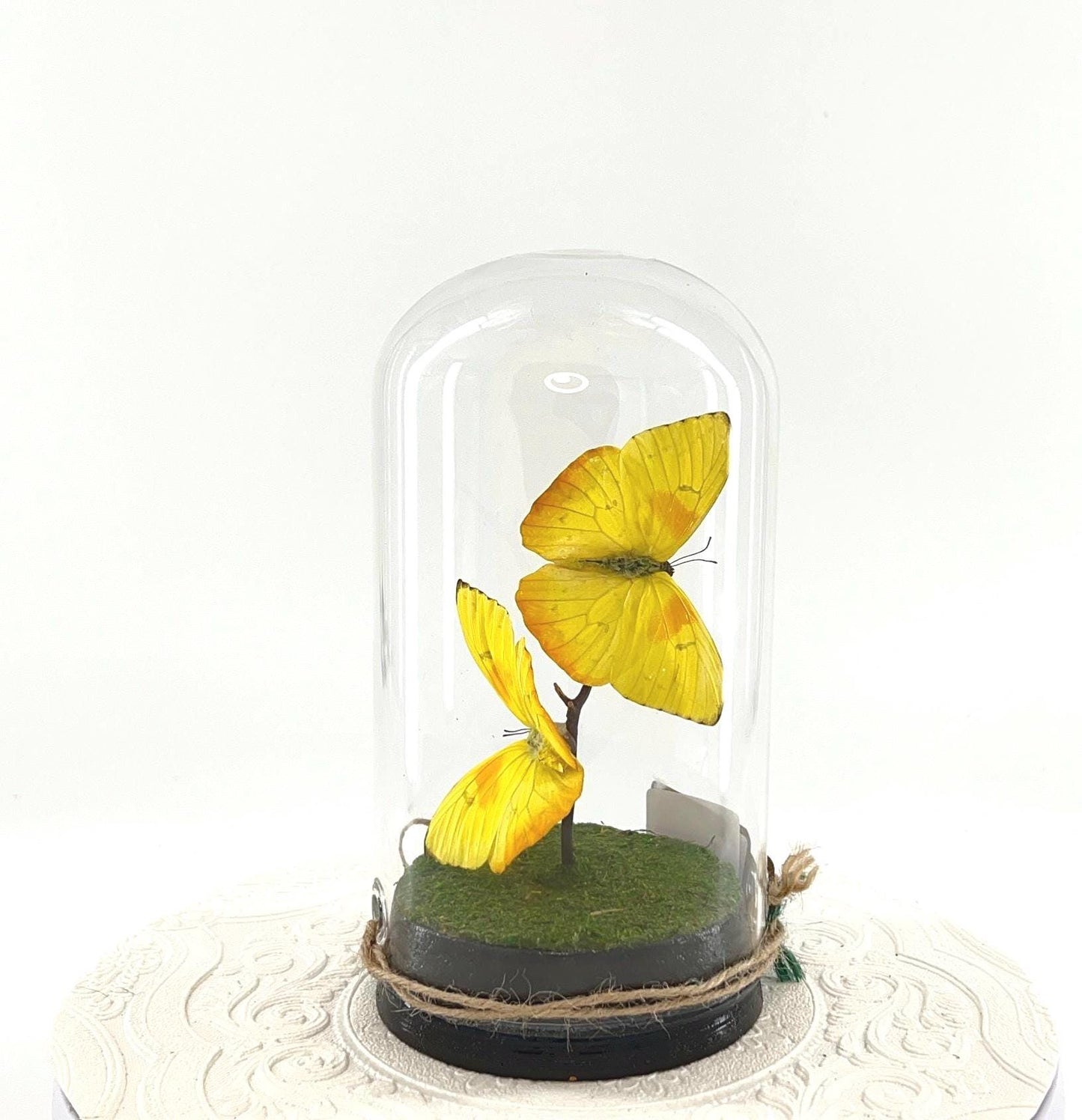 Large Pendant | Hang or Tabletop Centerpiece | Double Orange-barred Sulphur | Yellow | Flutter by Katie Butterfly Sculpture Art | N America