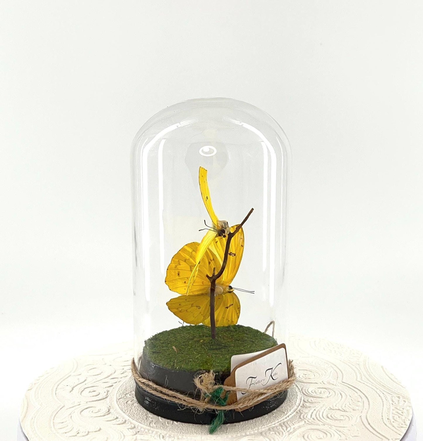 Large Pendant | Hang or Tabletop Centerpiece | Double Orange-barred Sulphur | Yellow | Flutter by Katie Butterfly Sculpture Art | N America