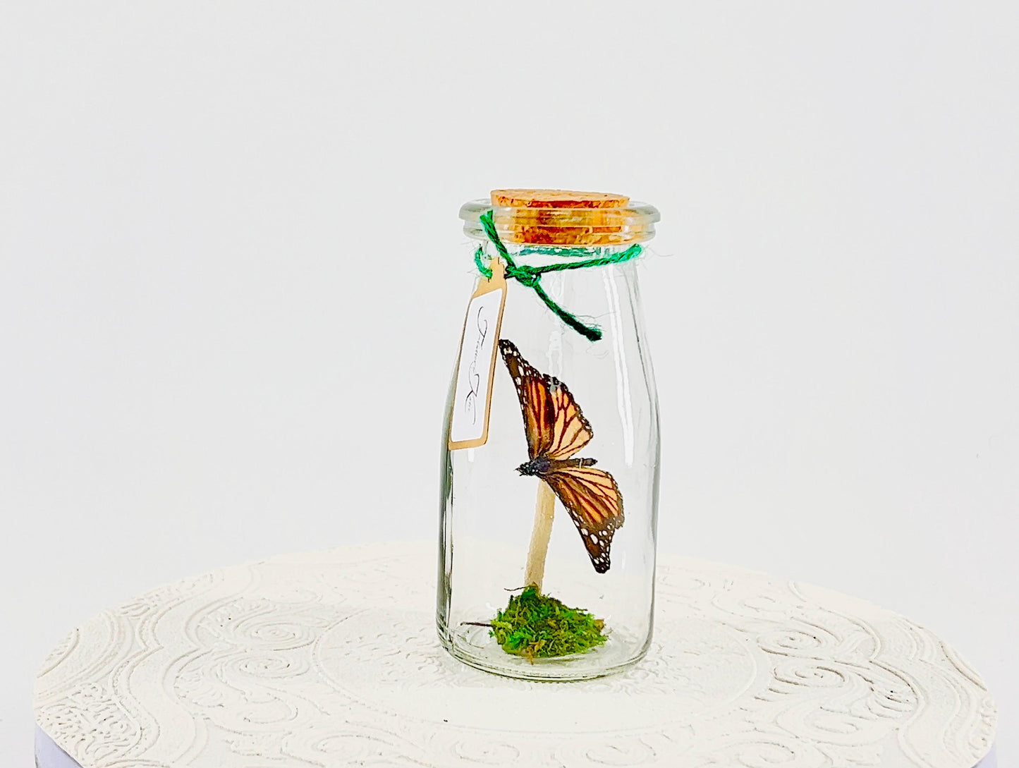 Accent | Centerpiece | Monarch | Black Orange | Flutter by Katie Butterfly Display | Handmade | Real Butterflies | Home Decor North America
