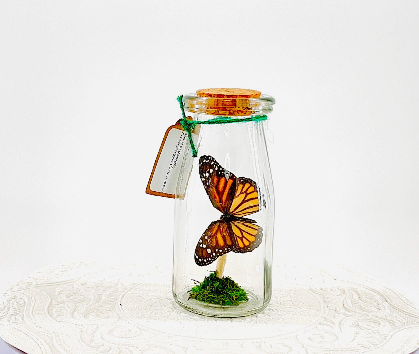 Accent | Centerpiece | Monarch | Black Orange | Flutter by Katie Butterfly Display | Handmade | Real Butterflies | Home Decor North America