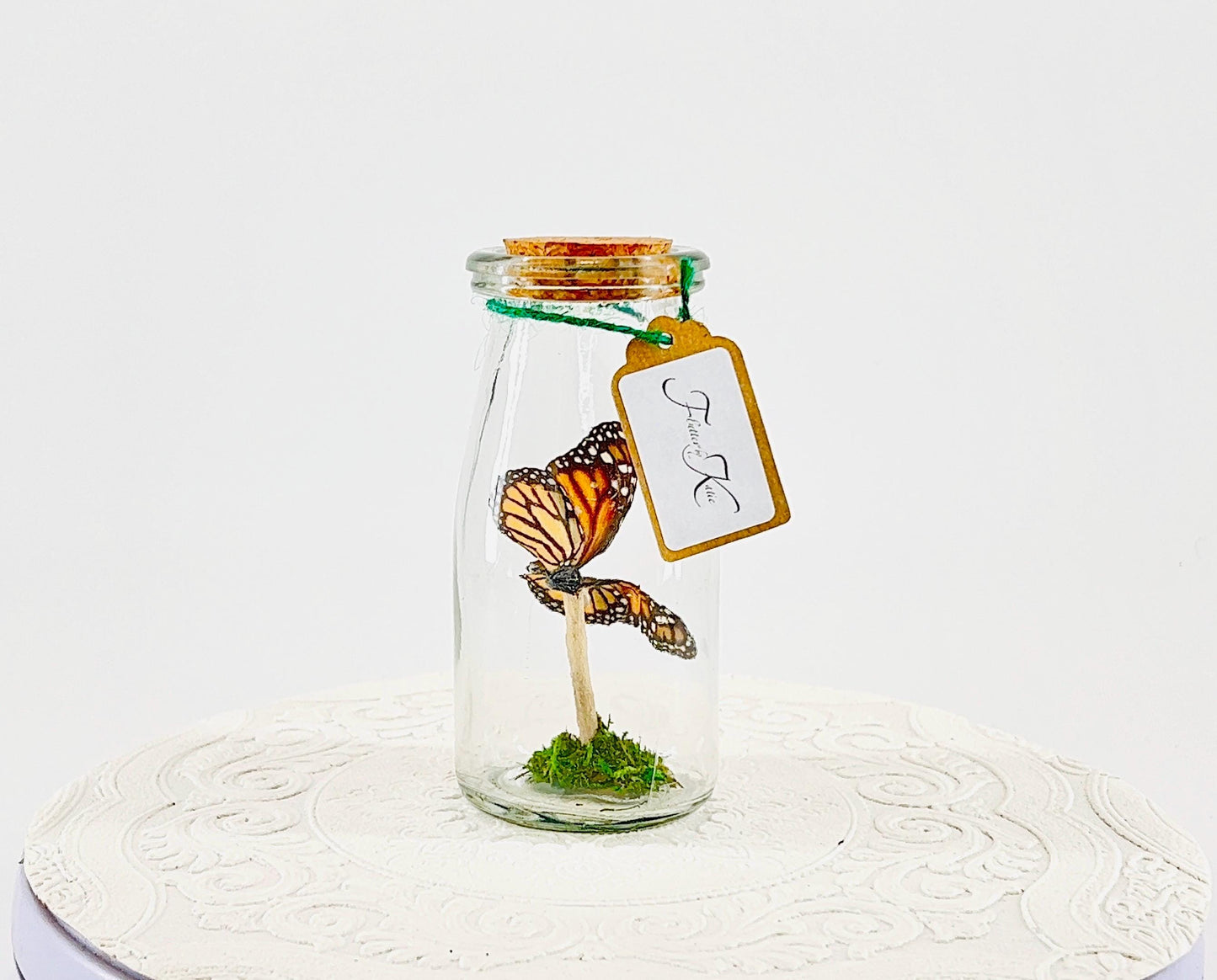 Accent | Centerpiece | Monarch | Black Orange | Flutter by Katie Butterfly Display | Handmade | Real Butterflies | Home Decor North America