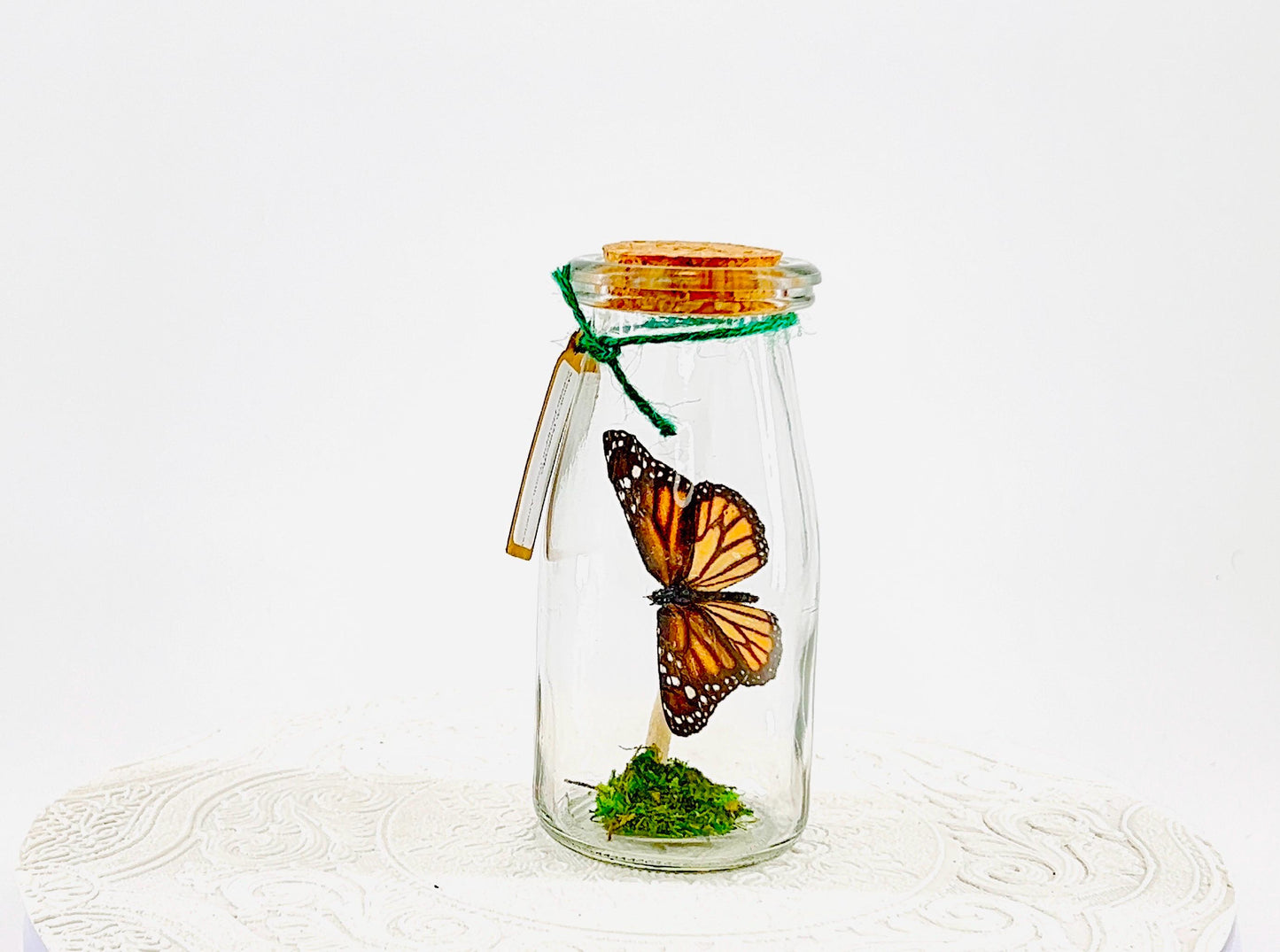 Accent | Centerpiece | Monarch | Black Orange | Flutter by Katie Butterfly Display | Handmade | Real Butterflies | Home Decor North America