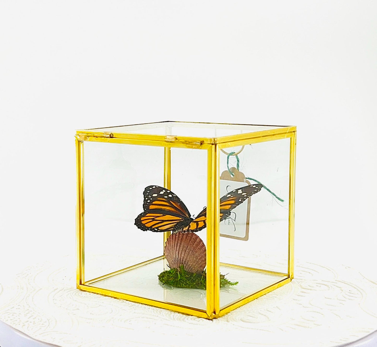The Cube | Centerpiece | Monarch | Black Orange | Flutter by Katie Handmade Butterfly Sculpture Art | Home Decor | North America