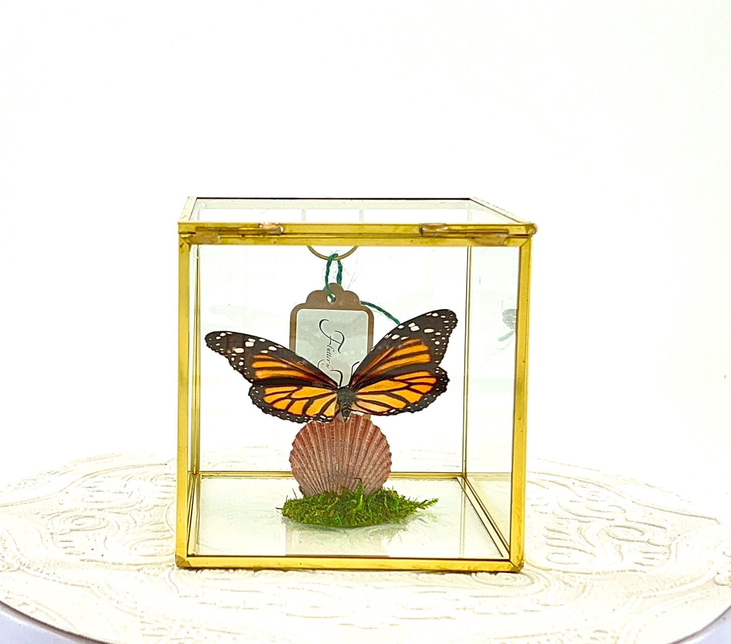 The Cube | Centerpiece | Monarch | Black Orange | Flutter by Katie Handmade Butterfly Sculpture Art | Home Decor | North America