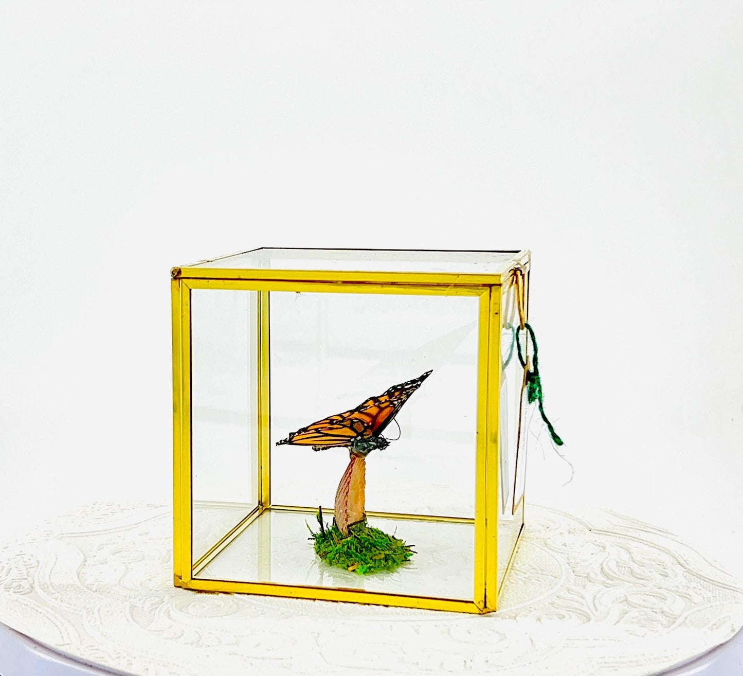 The Cube | Centerpiece | Monarch | Black Orange | Flutter by Katie Handmade Butterfly Sculpture Art | Home Decor | North America