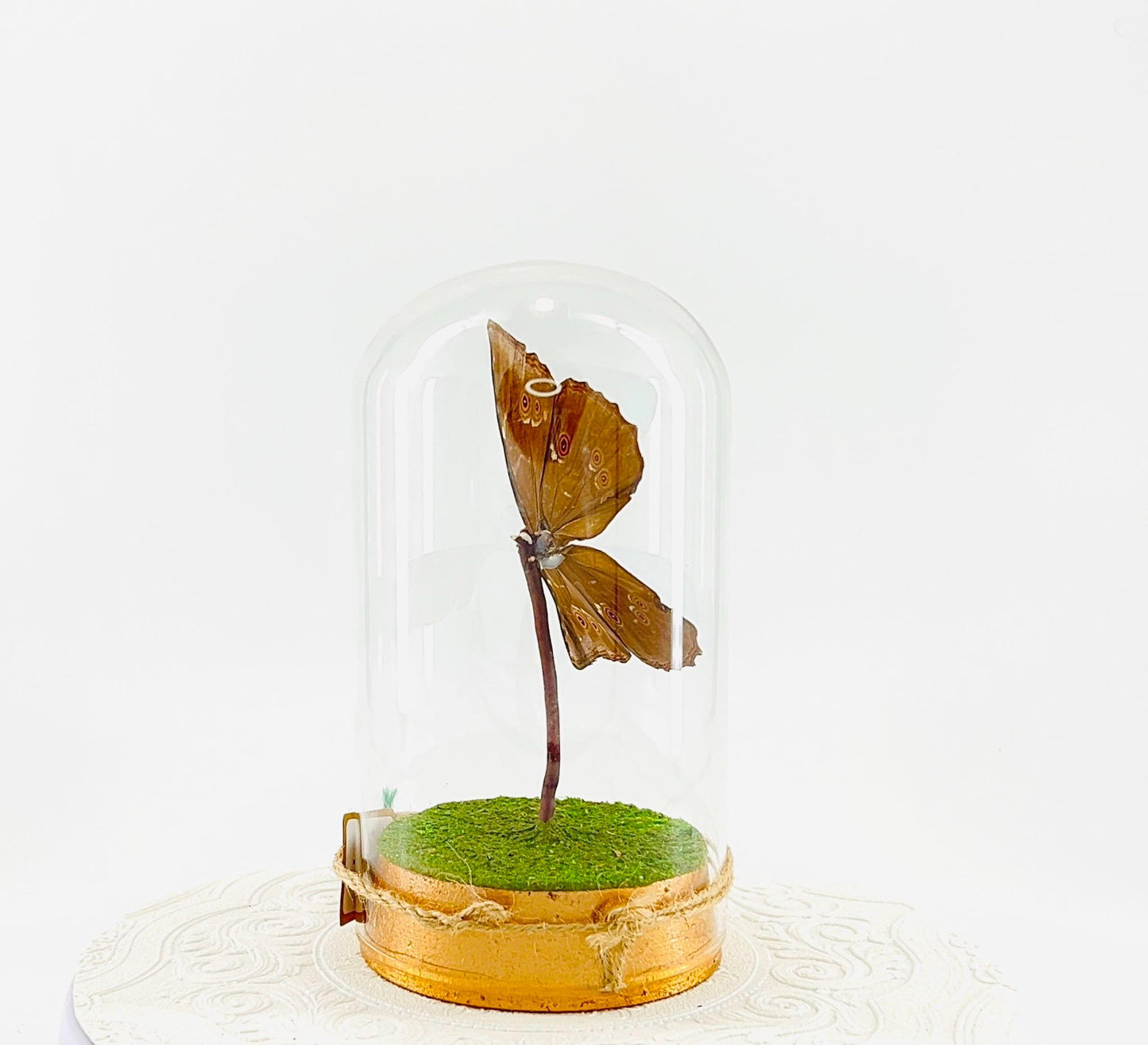 Large Pendant | Hang or Tabletop Centerpiece | Blue Morpho | Irridescent | Flutter by Katie Butterfly Sculpture Art | Home Decor | Guyana