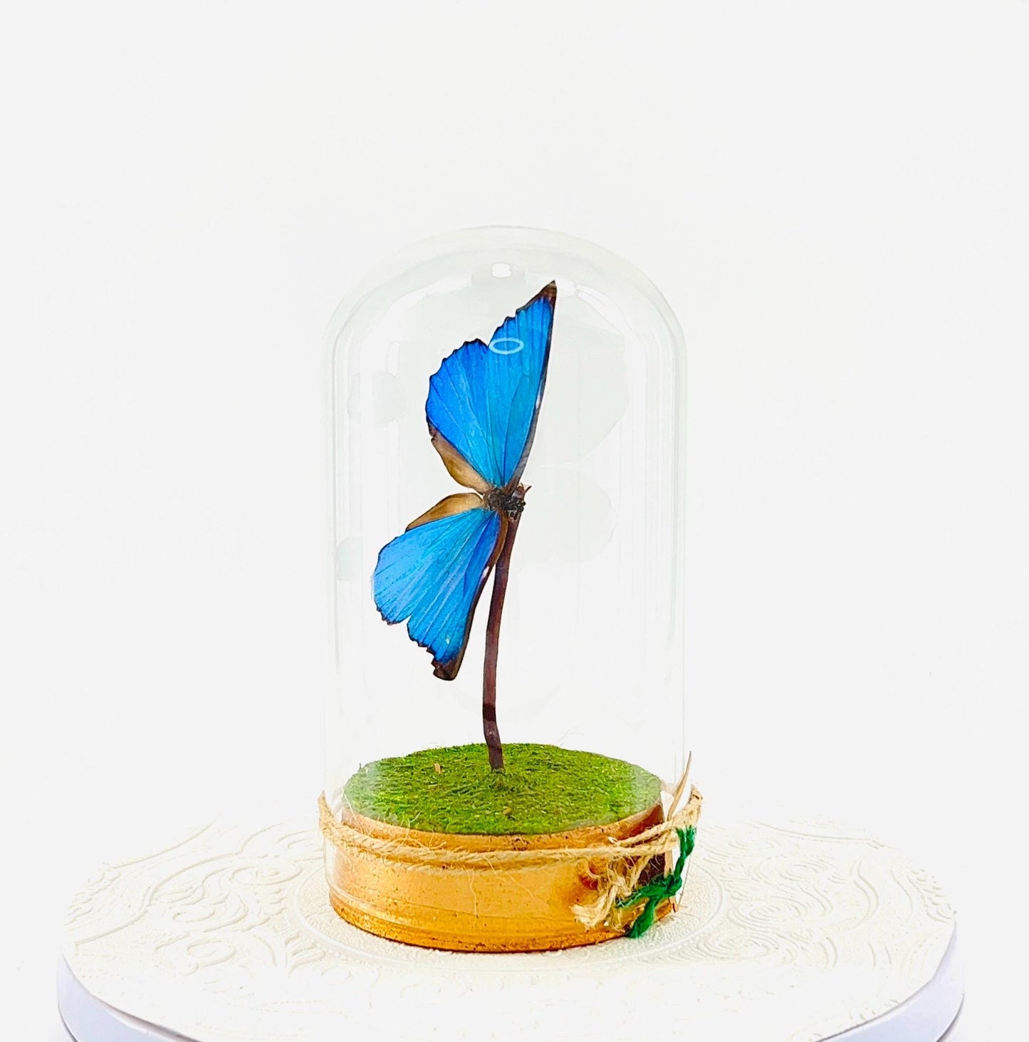 Large Pendant | Hang or Tabletop Centerpiece | Blue Morpho | Irridescent | Flutter by Katie Butterfly Sculpture Art | Home Decor | Guyana