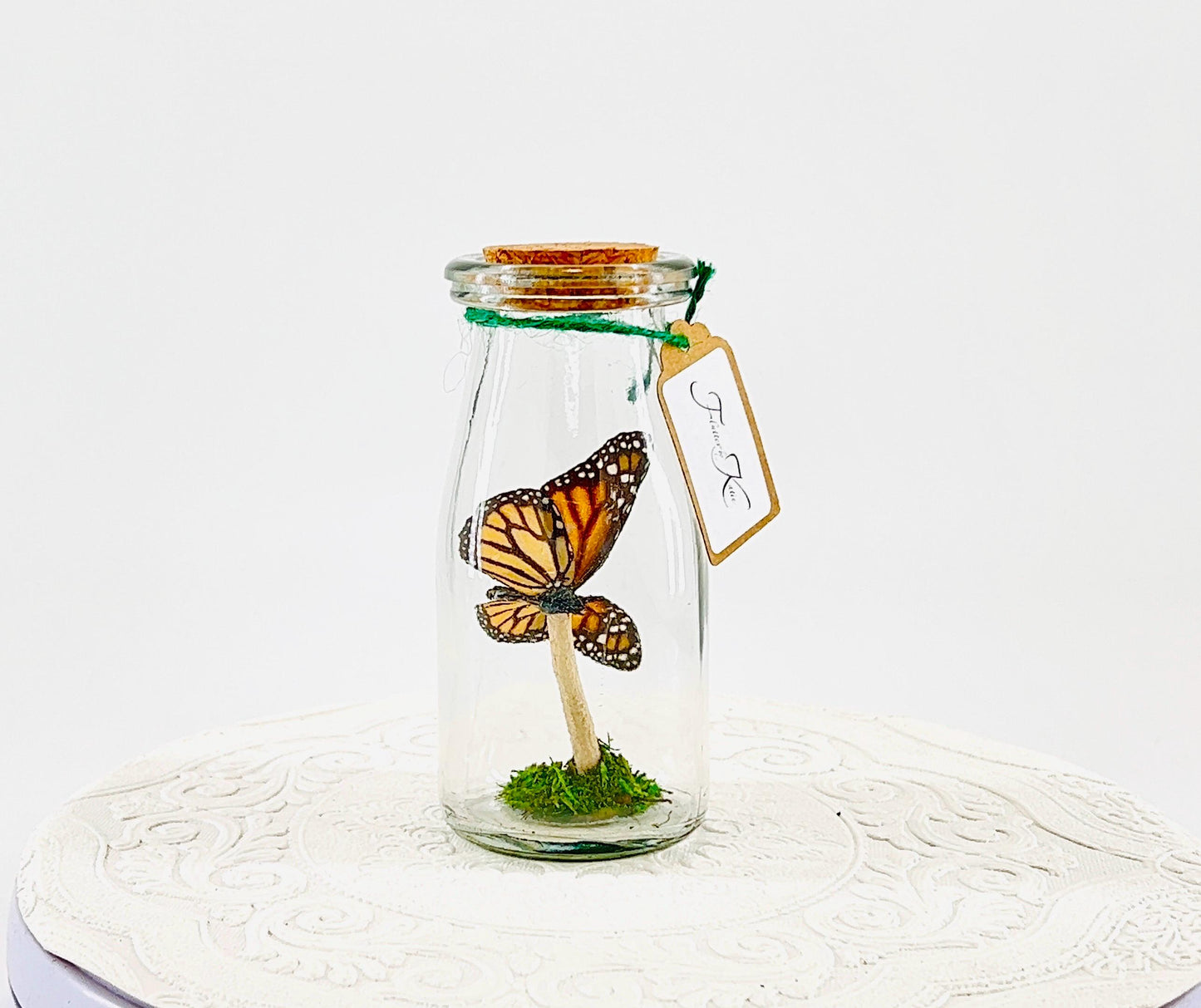 Accent | Centerpiece | Monarch | Black Orange | Flutter by Katie Butterfly Display | Handmade | Real Butterflies | Home Decor North America