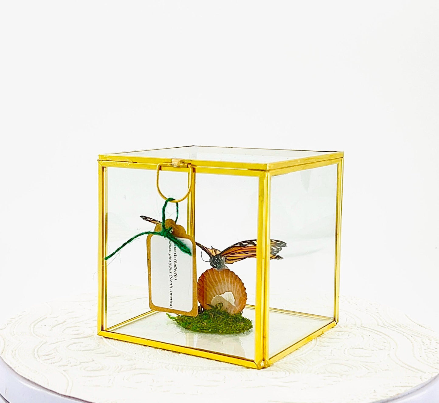 The Cube | Centerpiece | Monarch | Black Orange | Flutter by Katie Handmade Butterfly Sculpture Art | Home Decor | North America
