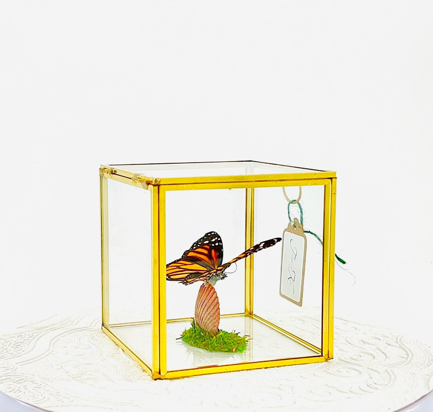 The Cube | Centerpiece | Monarch | Black Orange | Flutter by Katie Handmade Butterfly Sculpture Art | Home Decor | North America