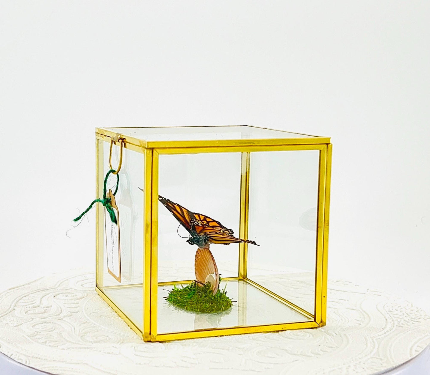 The Cube | Centerpiece | Monarch | Black Orange | Flutter by Katie Handmade Butterfly Sculpture Art | Home Decor | North America
