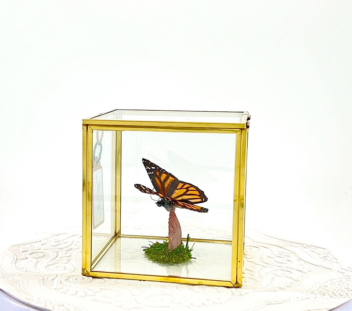 The Cube | Centerpiece | Monarch | Black Orange | Flutter by Katie Handmade Butterfly Sculpture Art | Home Decor | North America