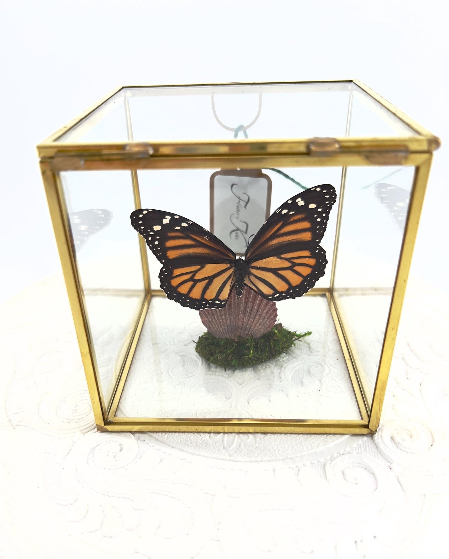 The Cube | Centerpiece | Monarch | Black Orange | Flutter by Katie Handmade Butterfly Sculpture Art | Home Decor | North America