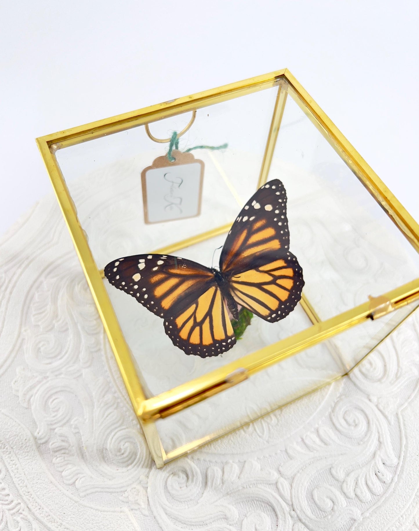 The Cube | Centerpiece | Monarch | Black Orange | Flutter by Katie Handmade Butterfly Sculpture Art | Home Decor | North America