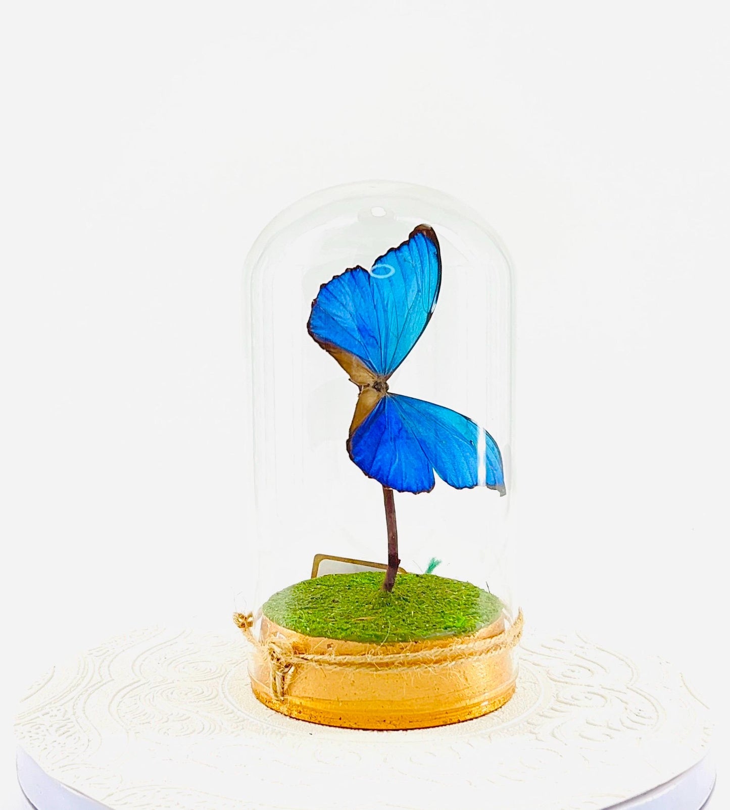 Large Pendant | Hang or Tabletop Centerpiece | Blue Morpho | Irridescent | Flutter by Katie Butterfly Sculpture Art | Home Decor | Guyana