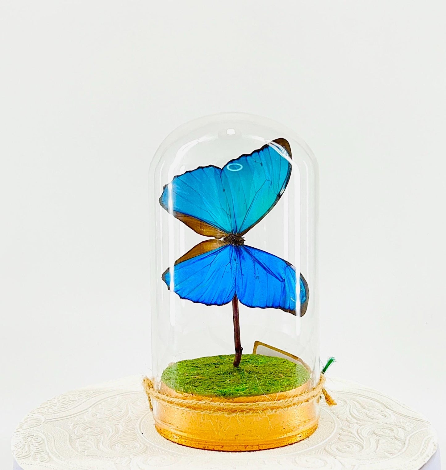 Large Pendant | Hang or Tabletop Centerpiece | Blue Morpho | Irridescent | Flutter by Katie Butterfly Sculpture Art | Home Decor | Guyana