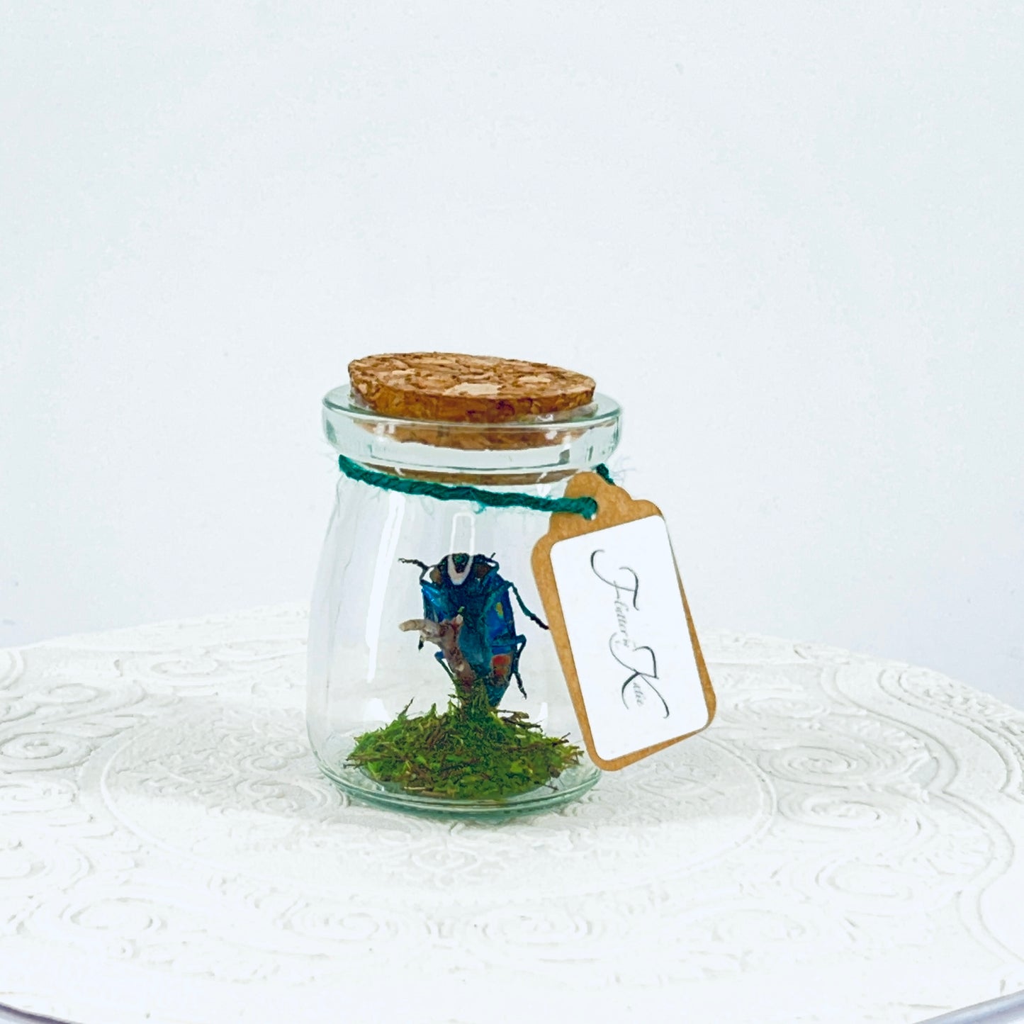 Mini Jar | Malagasy Jewel Bettle | Metallic Blue | Tabletop Display