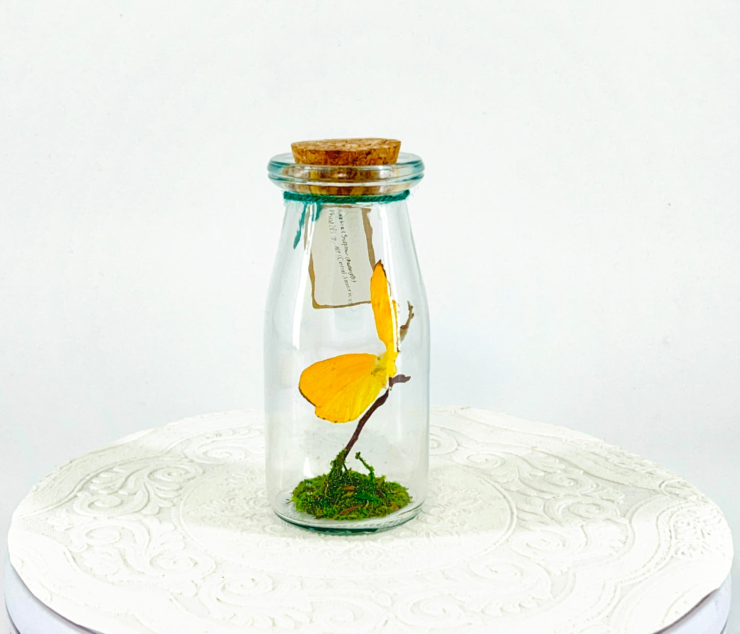 Accent Jar | Apricot Sulphur | Yellow | Tabletop Display