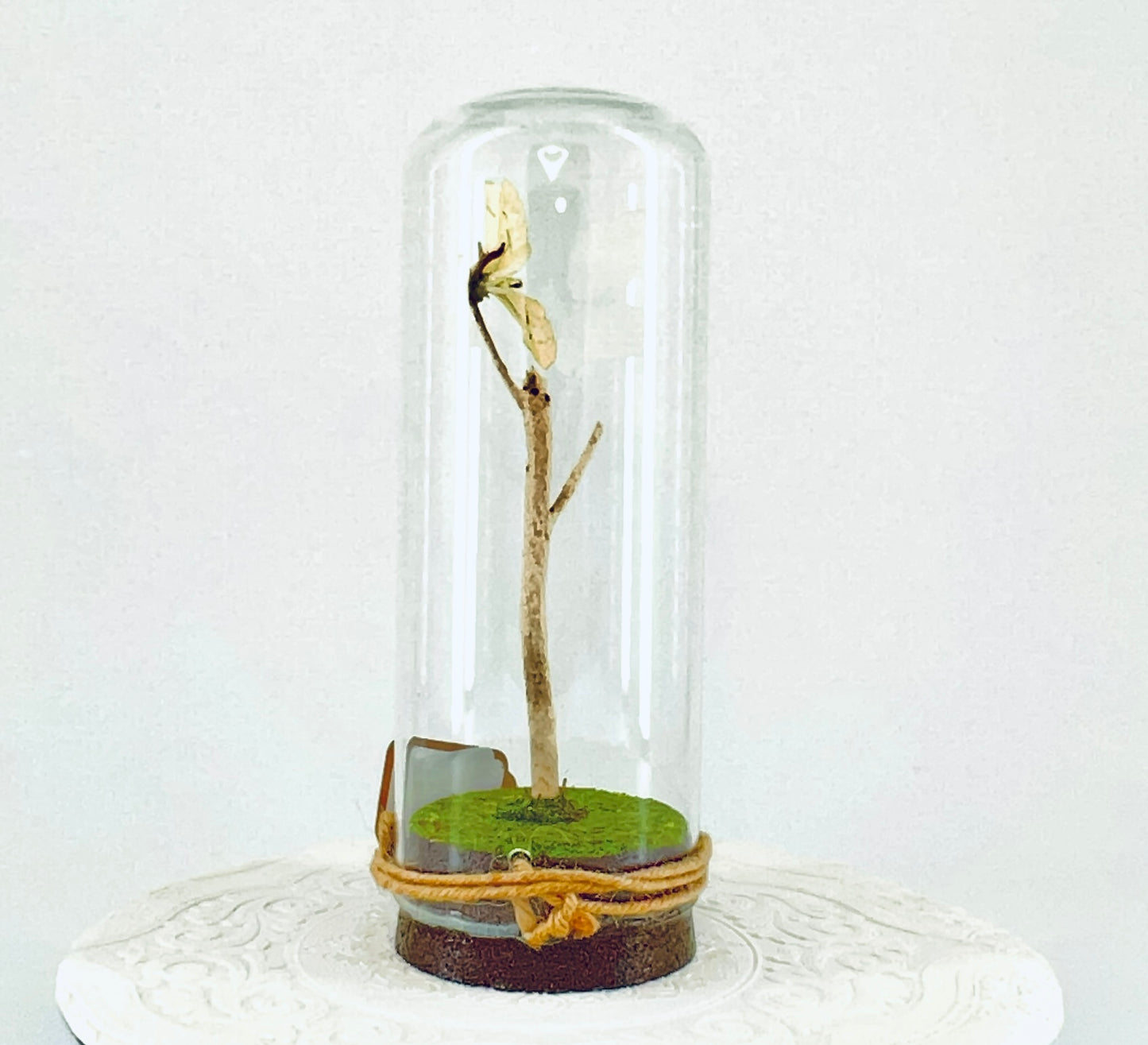 Pendant | Buttercup Butterfly | Pale Yellow | Tabletop or Hanging Display