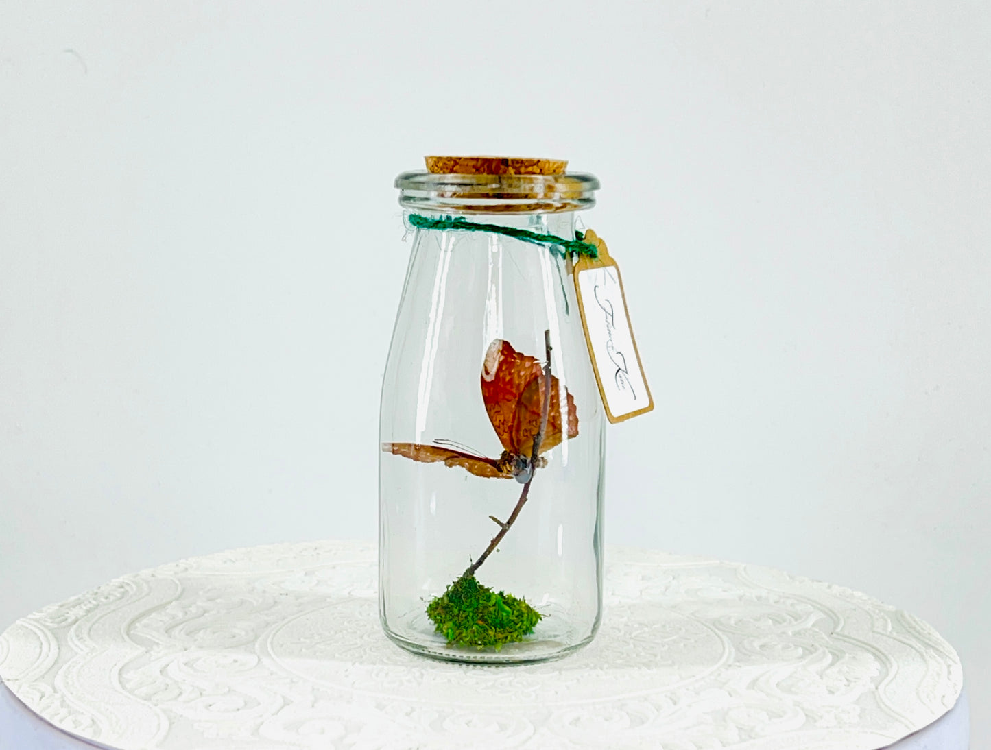 Accent Jar | Red Glider | Red | Tabletop Display