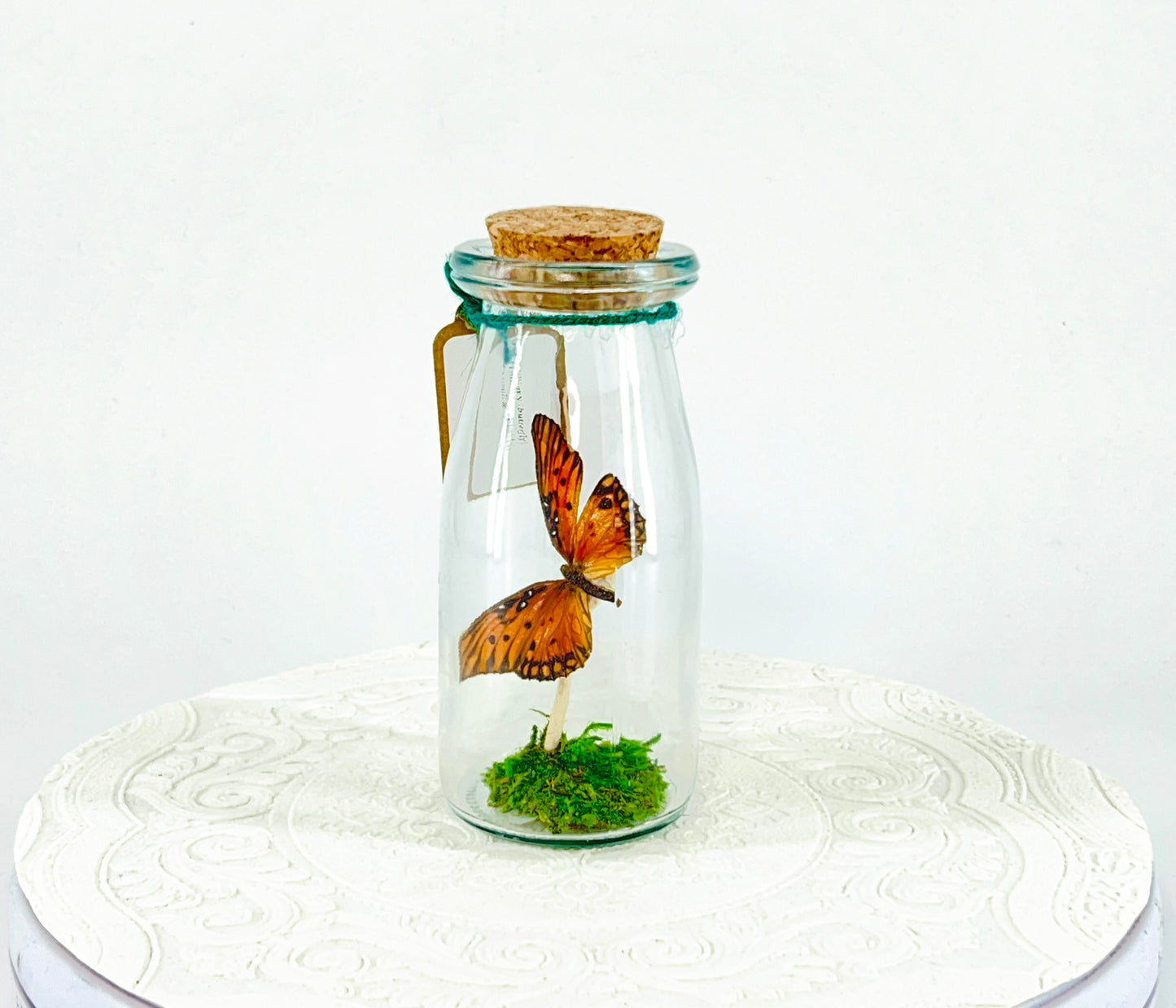 Accent Jar | Gulf Fritillary Butterfly | Metallic Silver Spots | Tabletop Display