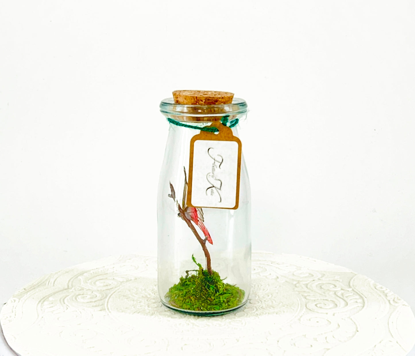 Accent Jar | Pink Glasswing | Pink | Tabletop Display