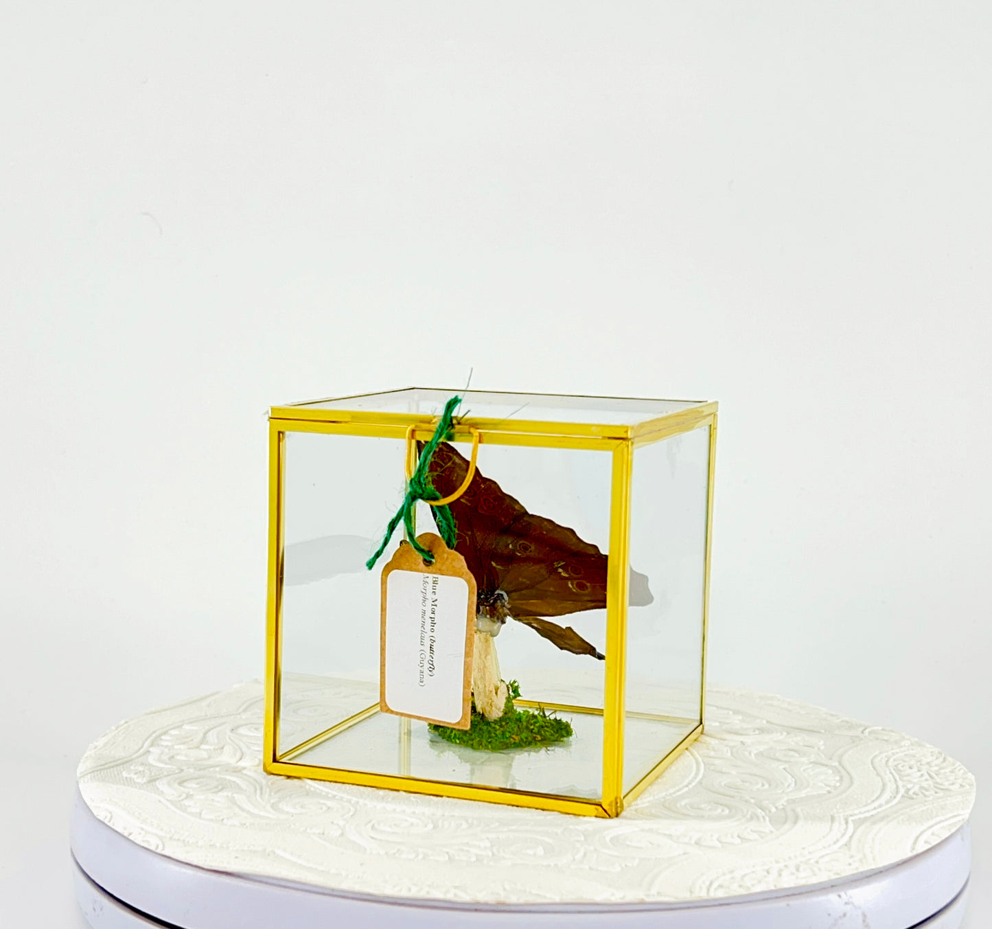 The Cube | Tabletop | Blue Morpho | Blue | Flutter by Katie Handmade Butterfly Sculpture Art | Home Decor | Guyana