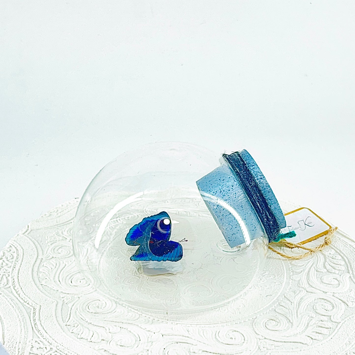 Droplet | Blue Glory Butterfly | Dark Blue Metallic Green | Tabletop or Wall Hanging Display