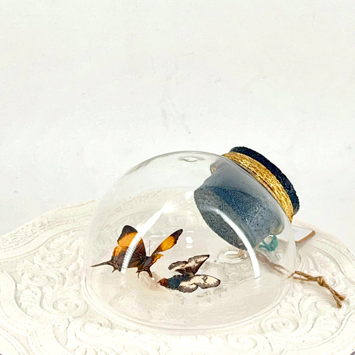 Droplet | Corinna Daggerwing & Tricolor Buckmoth | Butterfly | Moth | Orange Purple Brown White | Tabletop or Wall Hanging Display