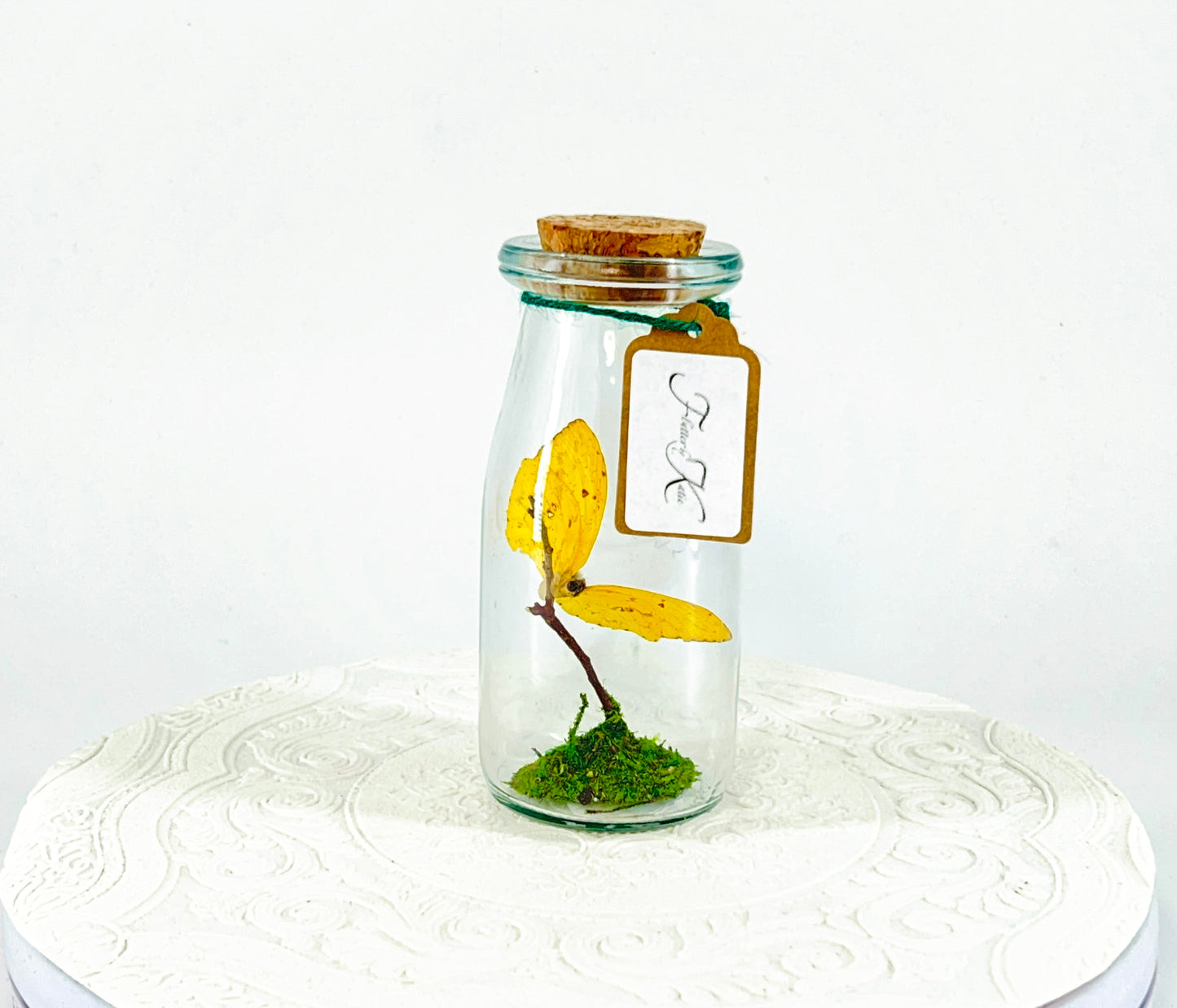 Accent Jar | Apricot Sulphur | Yellow | Tabletop Display