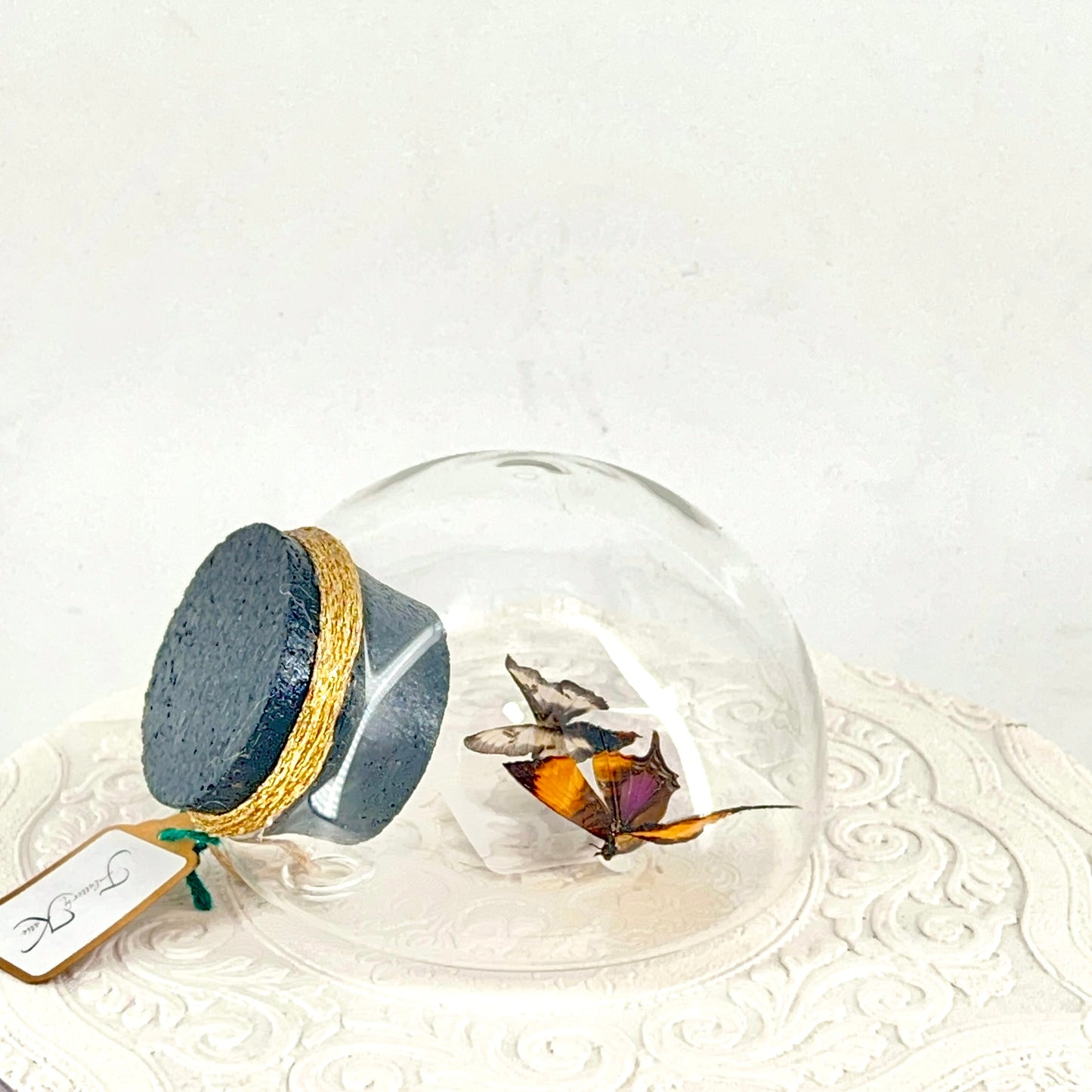 Droplet | Corinna Daggerwing & Tricolor Buckmoth | Butterfly | Moth | Orange Purple Brown White | Tabletop or Wall Hanging Display