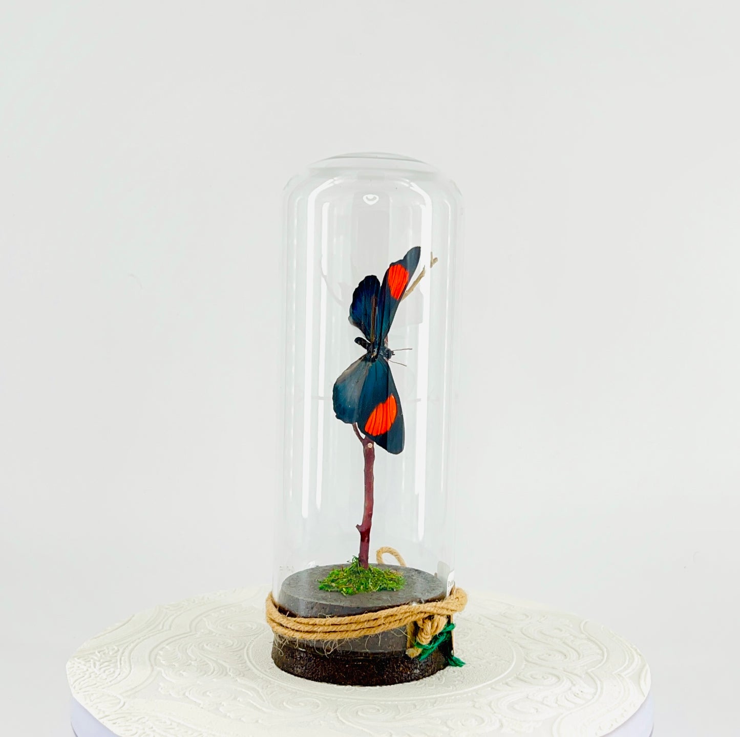 Pendant | Hanging or Tabletop Centerpiece | Painted Beauty | Pink Blue Black Yellow | Flutter by Katie | Butterfly Display | Sculpture Art | Handmade | Home Decor | Peru