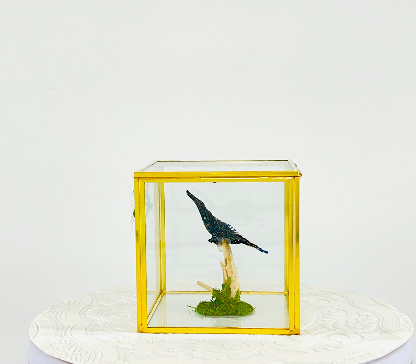 The Cube | Tabletop | Galaxy Moth | Centerpiece | Blue Black White | Flutter by Katie Handmade Butterfly Sculpture Art | Home Decor | Indonesia