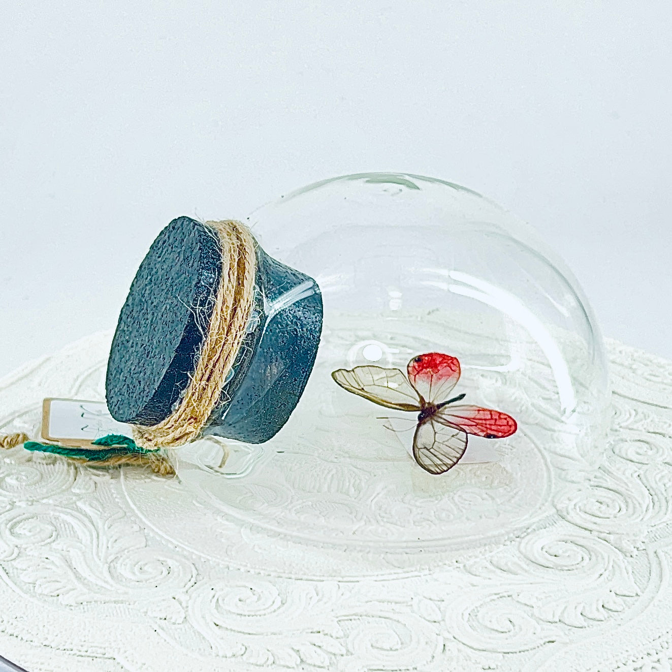 Droplet | Pink Glasswing | Pink Translucent | Tabletop or Wall Hanging Display