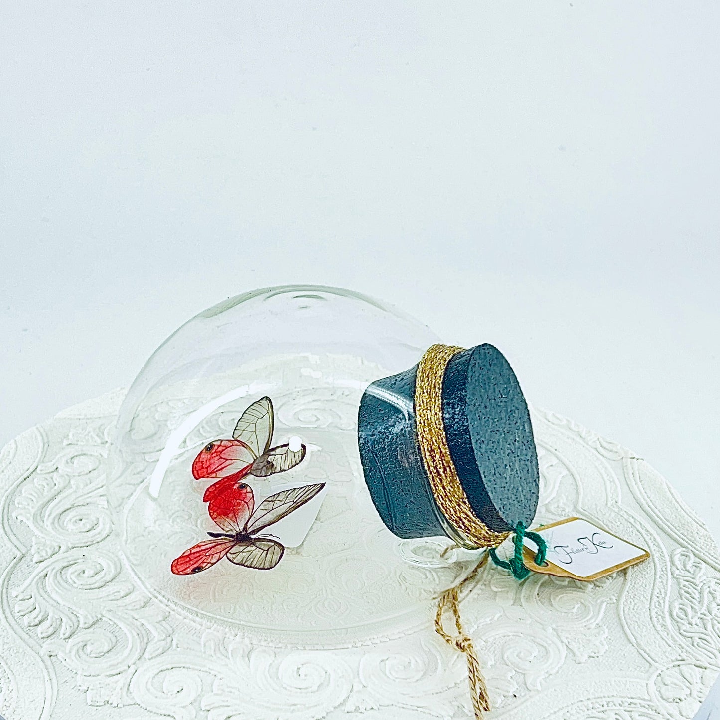 Droplet | Pink Glasswing x2 | Pink Translucent | Tabletop or Wall Hanging Display (Copy)