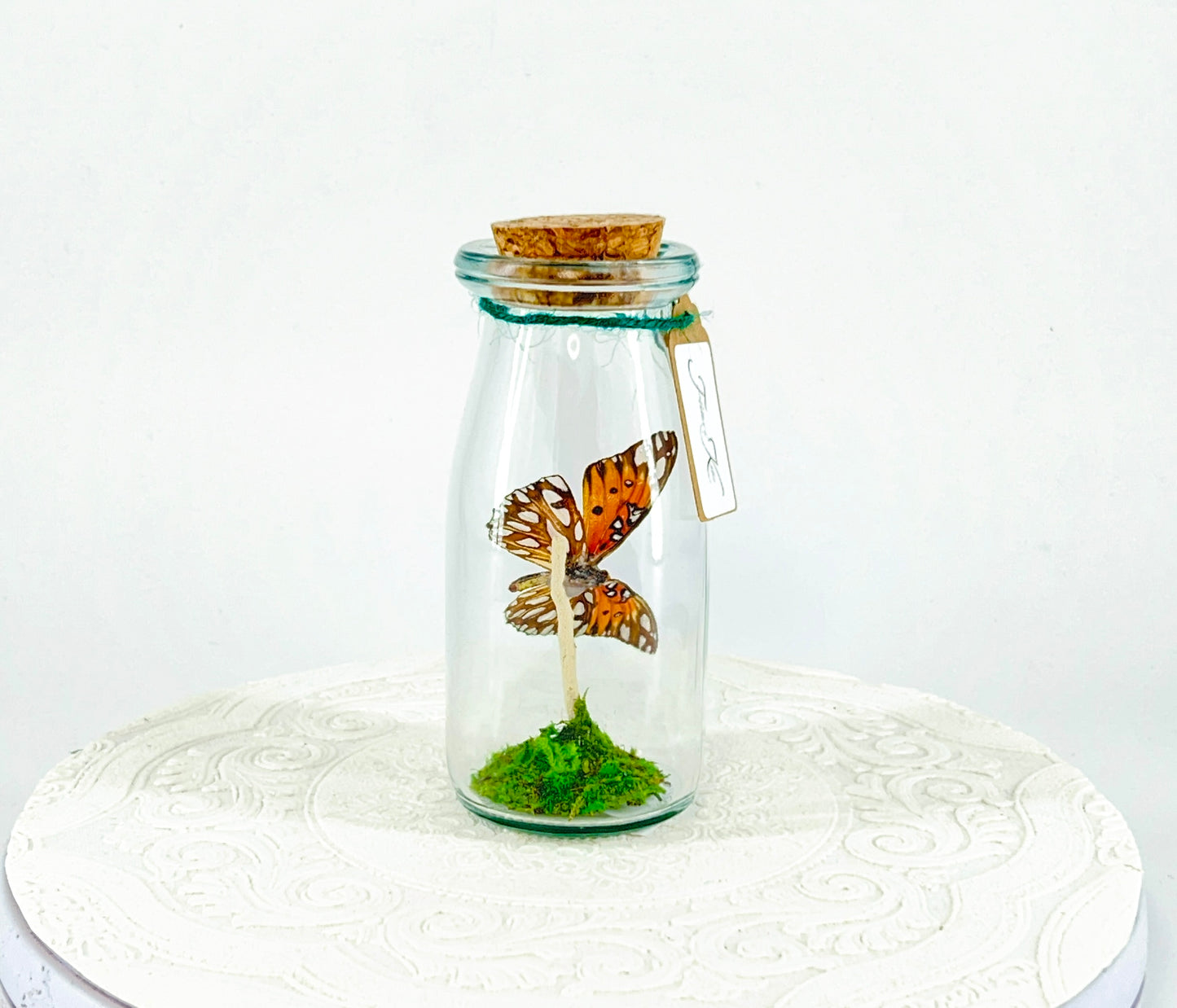 Accent Jar | Gulf Fritillary Butterfly | Metallic Silver Spots | Tabletop Display