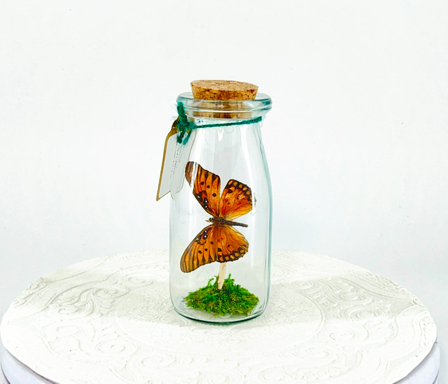 Accent Jar | Gulf Fritillary Butterfly | Metallic Silver Spots | Tabletop Display