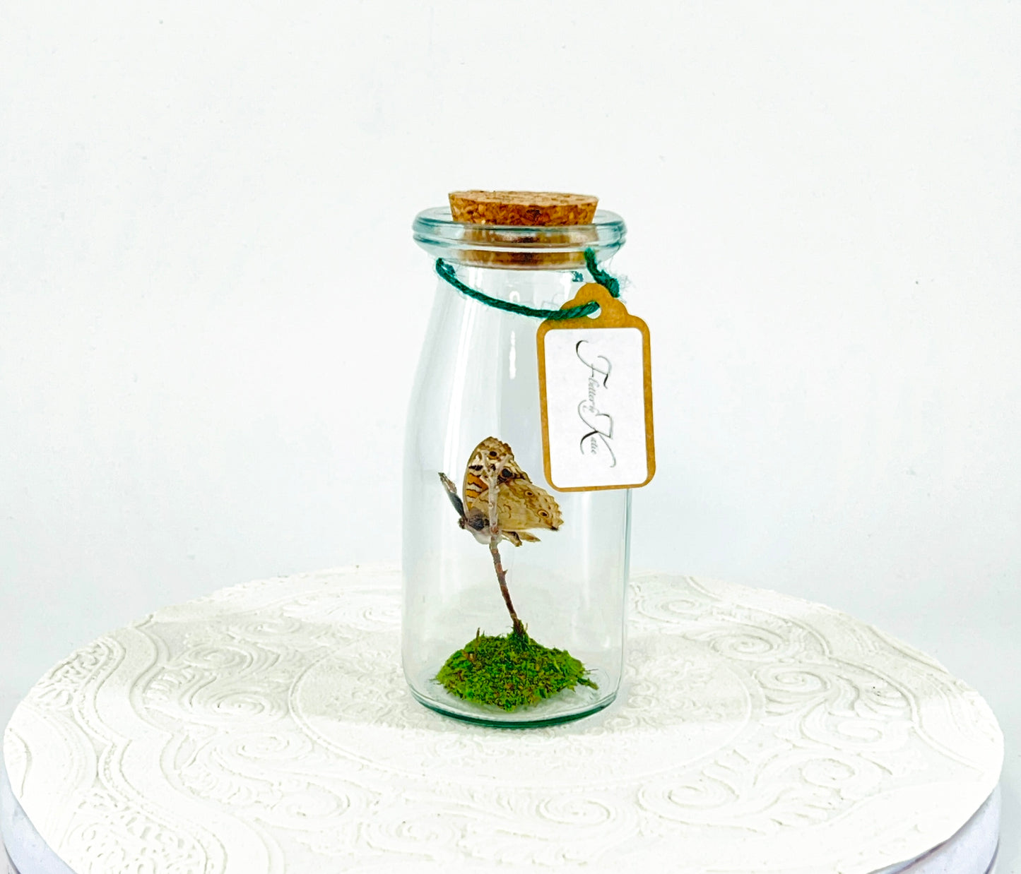 Accent  Jar | Blue Buckeye | Blue White Spotted | Tabletop Display