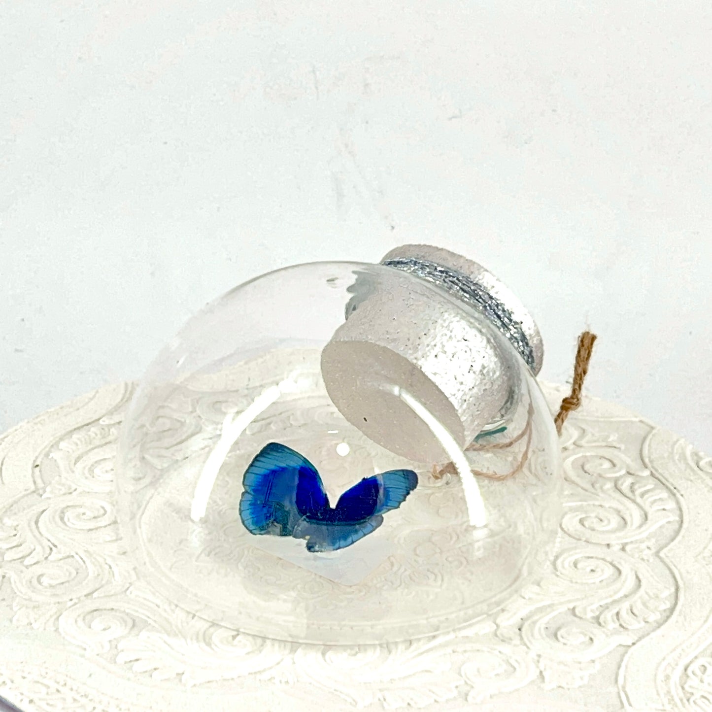 Droplet | Blue Glory Butterfly | Dark Blue Metallic Green | Tabletop or Wall Hanging Display